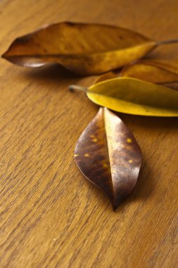 Tahta masada sonbahar yaprakları