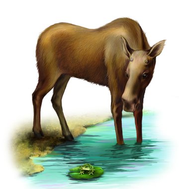 Elk River