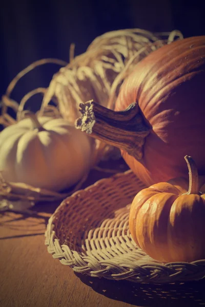 Thanksgiving Background with Pumpkins — Stock Photo, Image