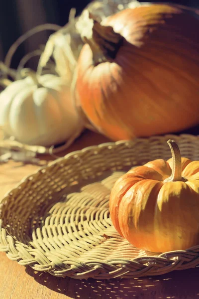 Thanksgiving Background with Pumpkins. Retro card — Stock Photo, Image