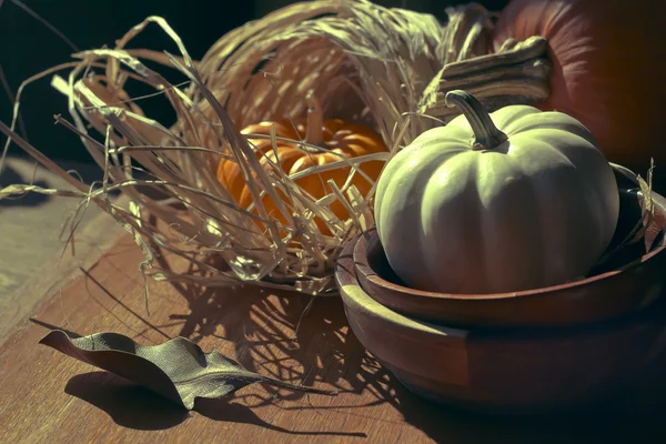 Thanksgiving Background with Pumpkins — Stock Photo, Image