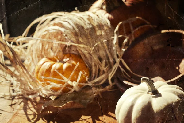 Thanksgiving Background with Pumpkins — Stock Photo, Image