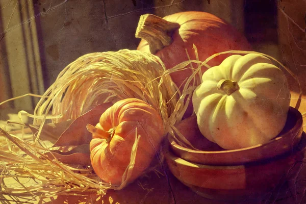 Thanksgiving Background with Pumpkins — Stock Photo, Image