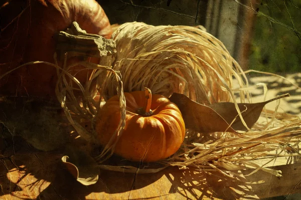 Thanksgiving Background with Pumpkins — Stock Photo, Image