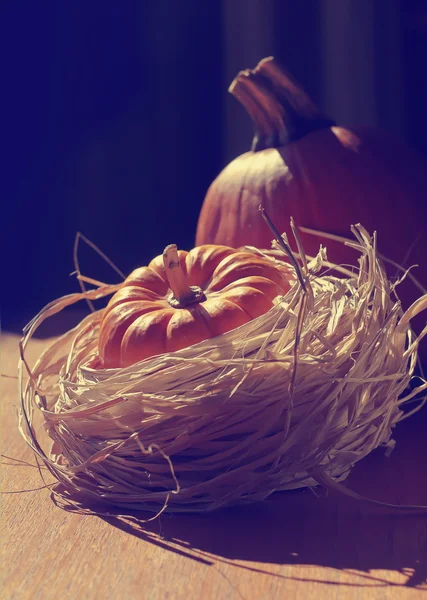 Thanksgiving achtergrond met pumpkins — Stockfoto
