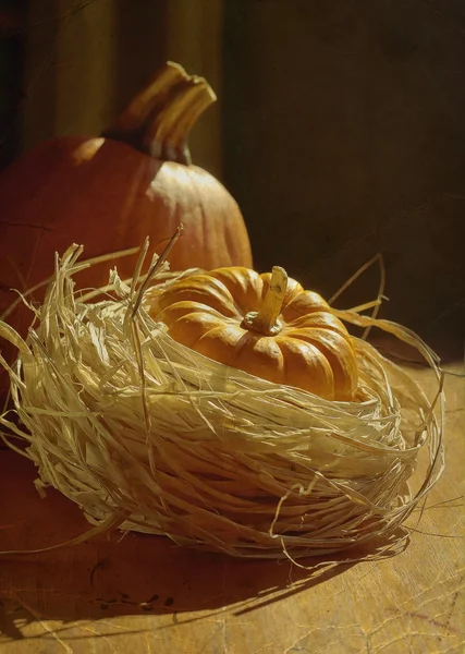 Thanksgiving Background with Pumpkins — Stock Photo, Image