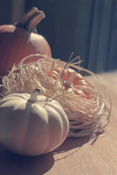 Thanksgiving Background with Pumpkins — Stock Photo, Image