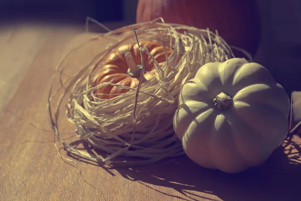 Thanksgiving Background with Pumpkins — Stock Photo, Image