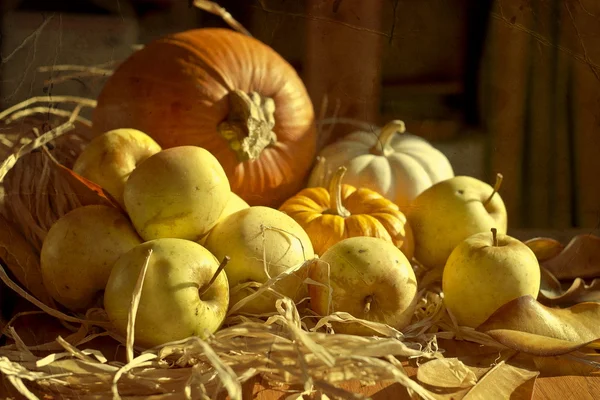 Thanksgiving Background with pumpkins and apples. Retro card — Stock Photo, Image
