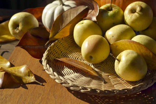 Thanksgiving Contexte avec des citrouilles et des pommes. Carte rétro — Photo
