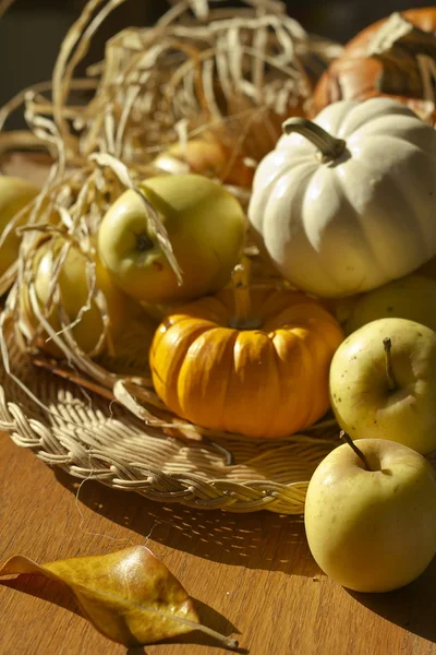 Thanksgiving Contexte avec des citrouilles et des pommes. Carte rétro — Photo