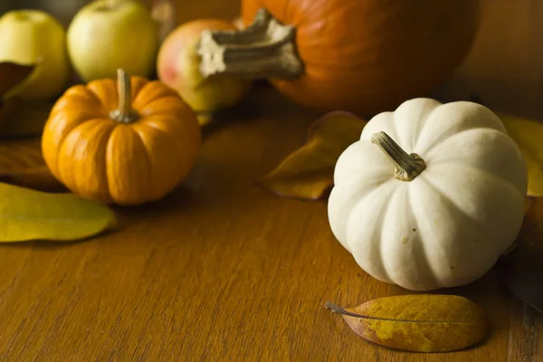 Thanksgiving bakgrund med pumpor och äpplen. retro kort — Stockfoto