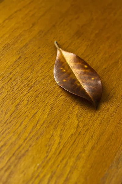 木のテーブルの上の紅葉 — ストック写真