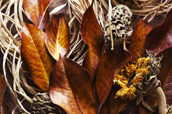 Autumn leaves, close-up — Stock Photo, Image