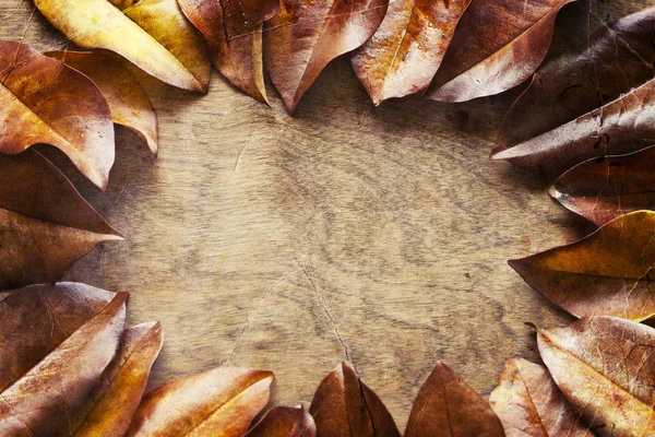 Autumn leaves background — Stock Photo, Image