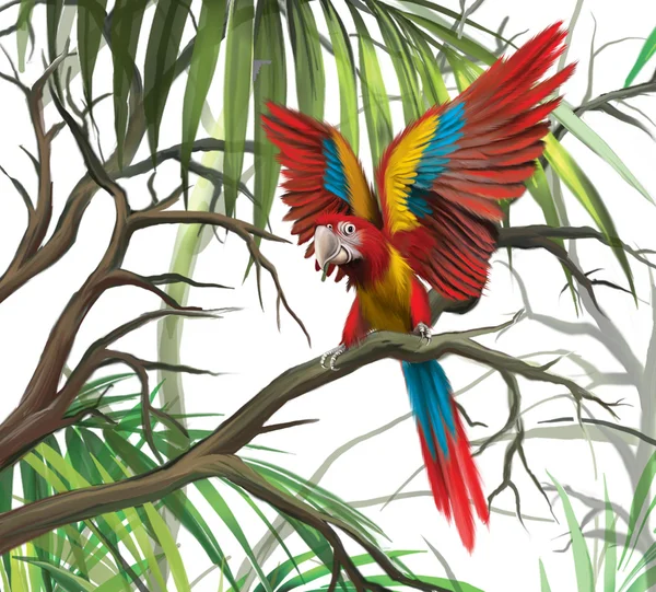 Иллюстрация красочного украшенного попугая — стоковое фото