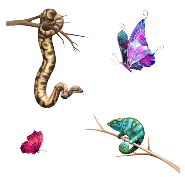 Cobra dos desenhos animados, camaleão e borboleta — Fotografia de Stock