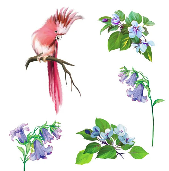 Иллюстрация красочного украшенного попугая — стоковое фото
