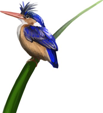 güzel bir mavi kuş çizgi film