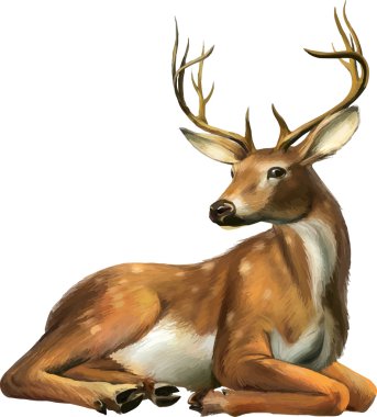 Beautiful deer with big horns clipart