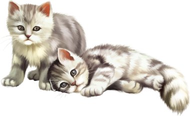 iki sevimli küçük gri tabby yavru kedi