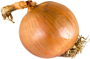 soğan taze ampul