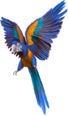Colorful blue parrot macaw in flight clipart