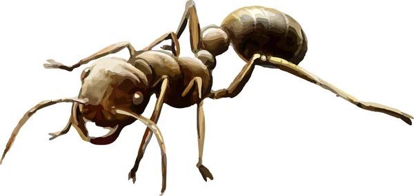 Бурый муравей — стоковый вектор