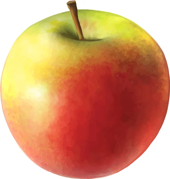 Reifer roter Apfel — Stockvektor