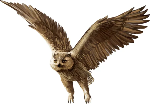 Hibou volant — Image vectorielle