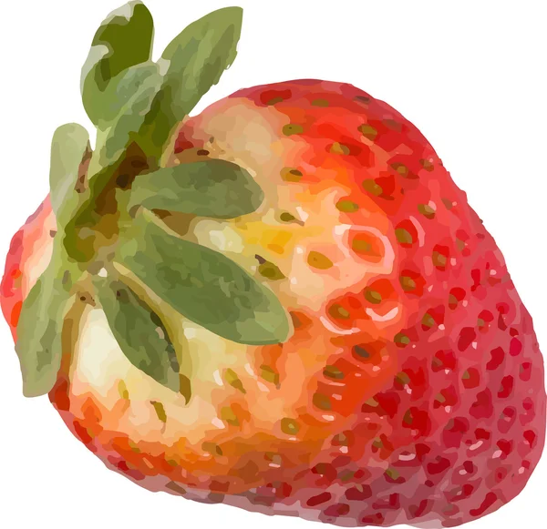 Čerstvé jahody — Stockový vektor