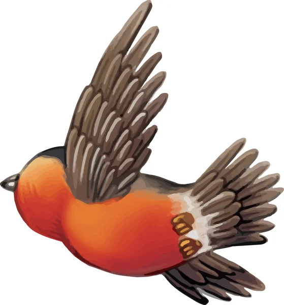 Eurasian Bullfinch uccello — Vettoriale Stock