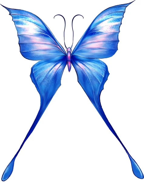 Mariposa brillante — Archivo Imágenes Vectoriales