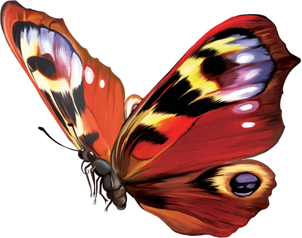 Mariposa brillante — Vector de stock