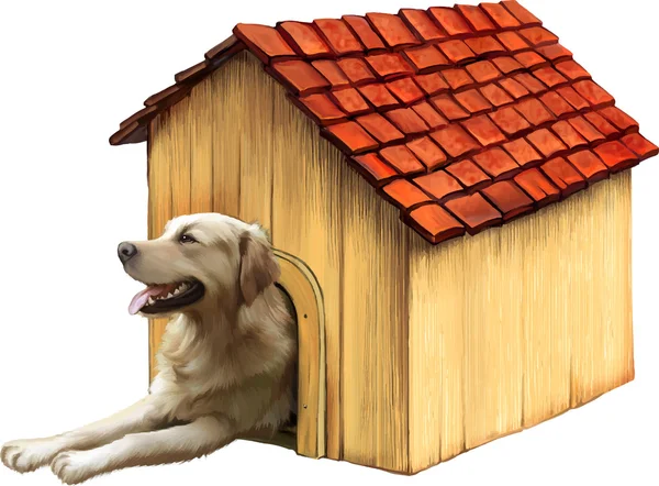 Hond in een hondenhuis. Gouden retriver — Stockvector