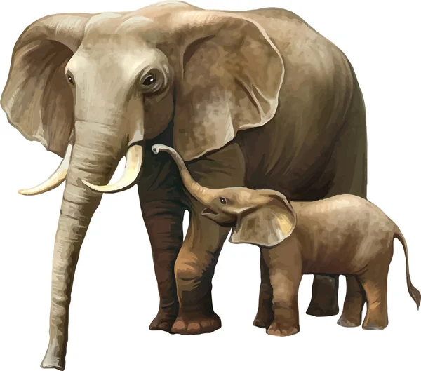 Elefante asiático adulto grande con elefante bebé — Vector de stock