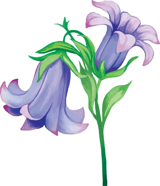 Flores de campanas azules — Archivo Imágenes Vectoriales