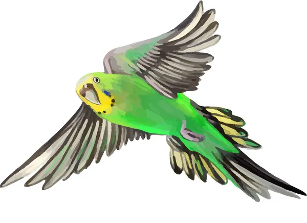 Groene papegaai tijdens de vlucht — Stockvector
