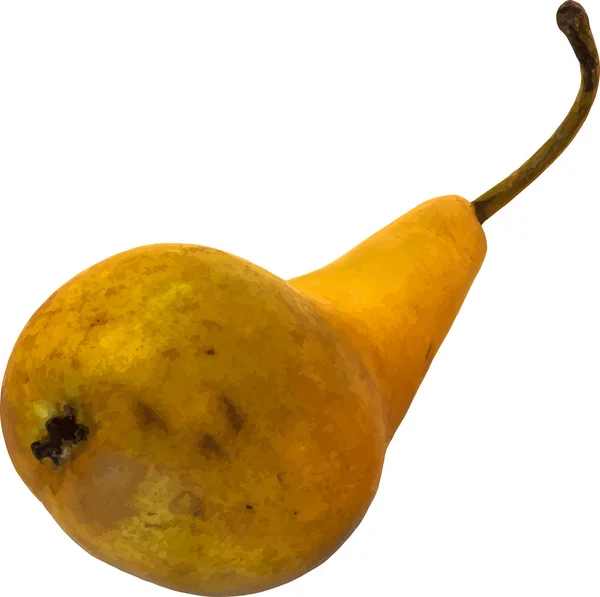 Gele pear — Stockvector