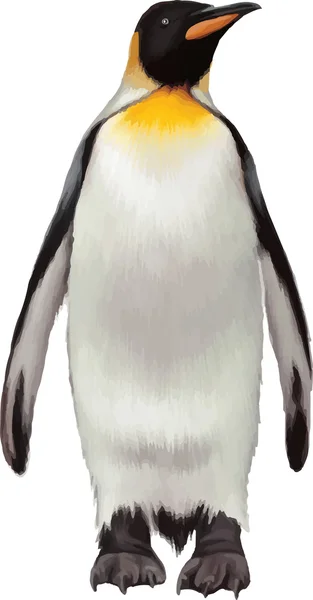 Koning pinguïn — Stockvector