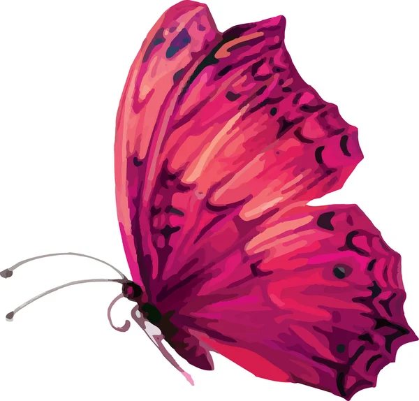 Mariposa brillante — Vector de stock