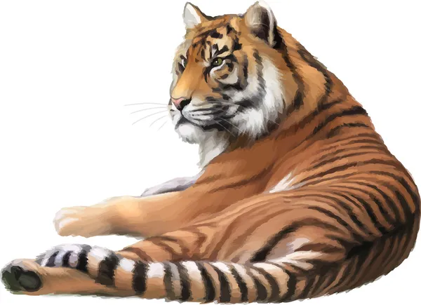 Tigre adulte couché — Image vectorielle