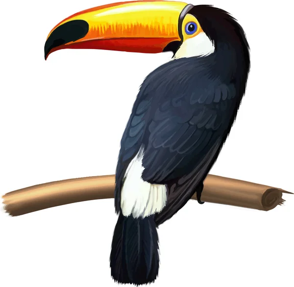 Illustration av toucan på gren — Stock vektor