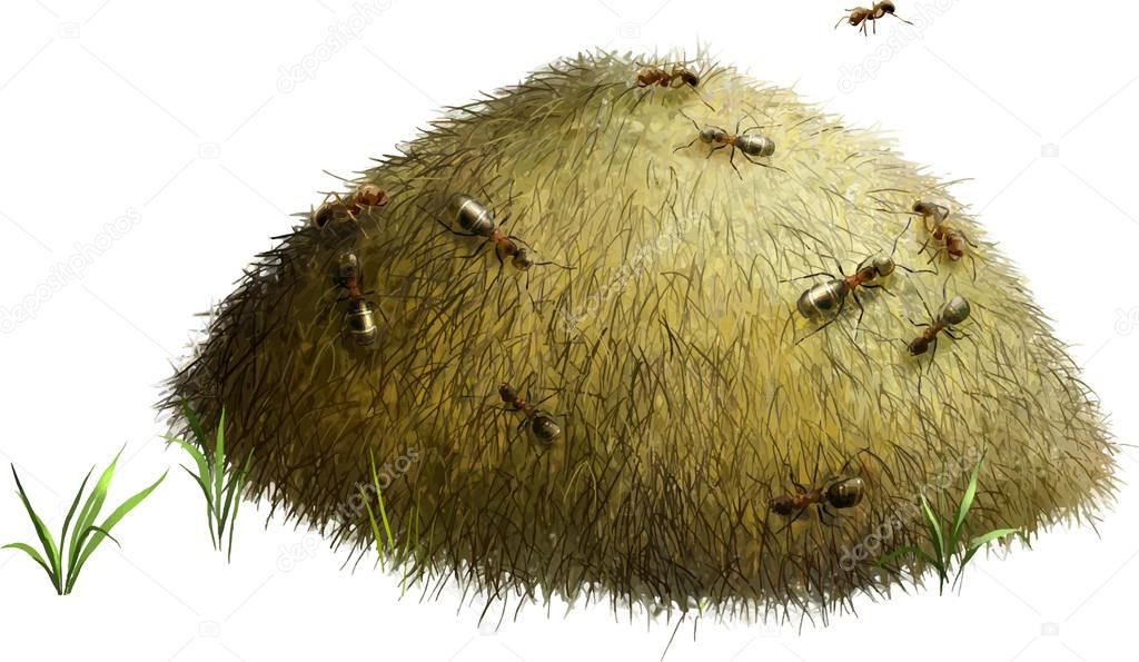 Vector ant hill
