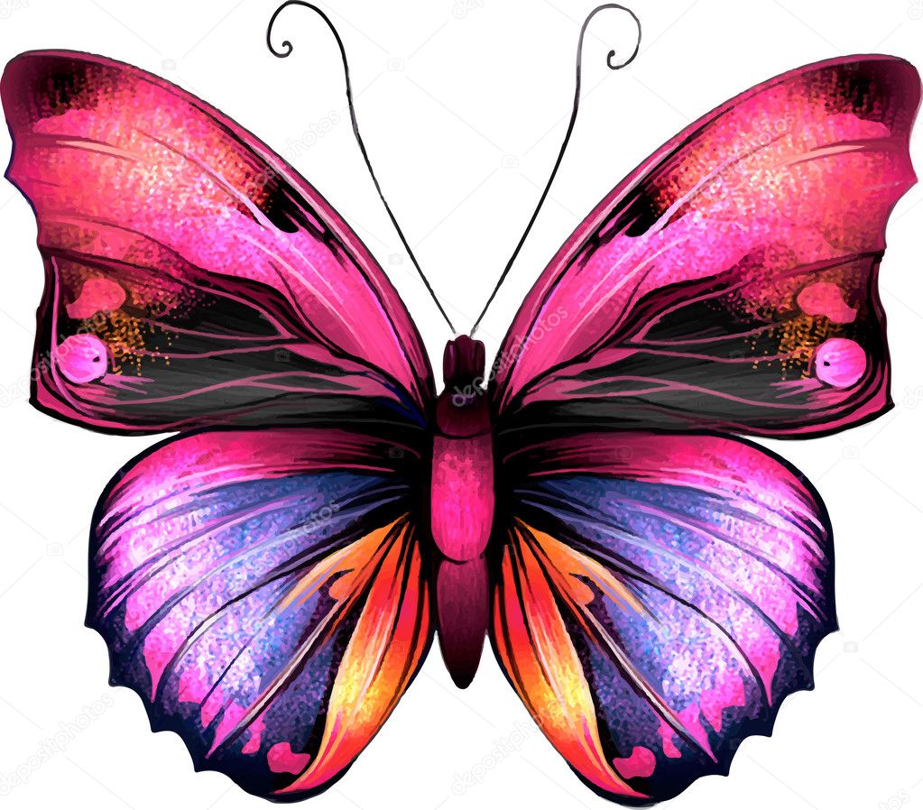 Bright Butterfly