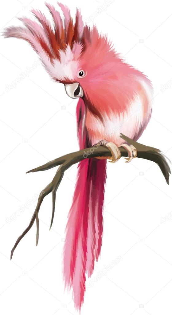 Pink parrot sitting on branch