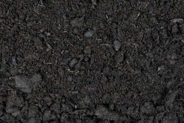 Kara toprak dokusu arka planı. toprak dokusu. Bitkiler için kara toprak. Üst görünüm.