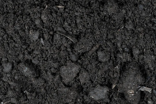 Μαύρο Φόντο Υφή Γης Υφή Του Εδάφους Μαύρη Για Φυτικό — Φωτογραφία Αρχείου
