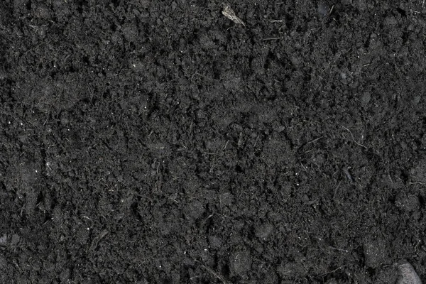 黒い大地のテクスチャの背景 土の質感 植物の背景のための黒い土地 トップ表示 — ストック写真