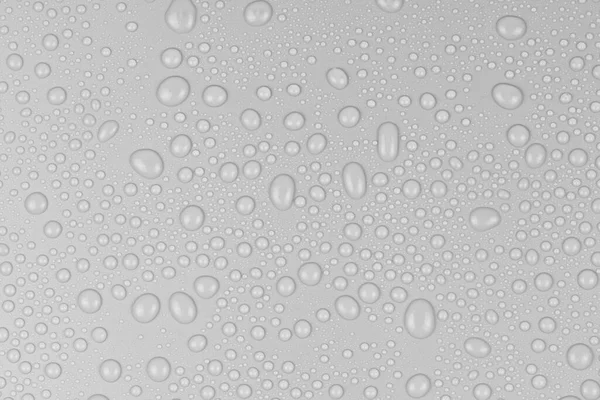 Water Drops White Background Texture Backdrop Glass Covered Drops Water — Stock Photo, Image